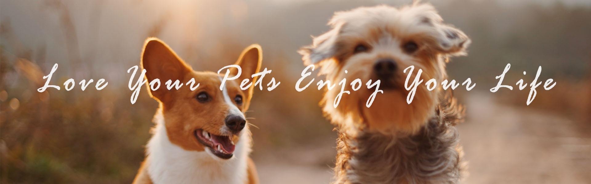 منتجات الحيوانات الأليفة ، مستلزمات الحيوانات الأليفة ، مستلزمات الحيوانات الأليفة,Furjoyz Pet Products Co., Ltd