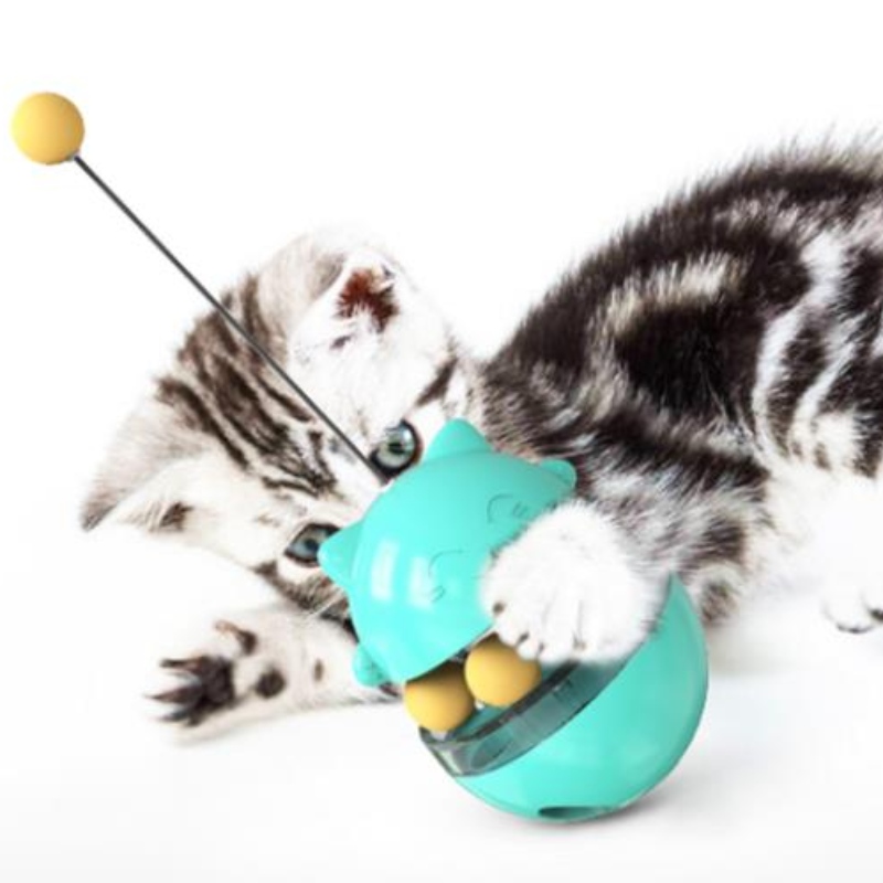 القط لعب للقطط القط الكرة لعبة اللعب التفاعلية لعبة التفاعلية لعبة برج لعبة