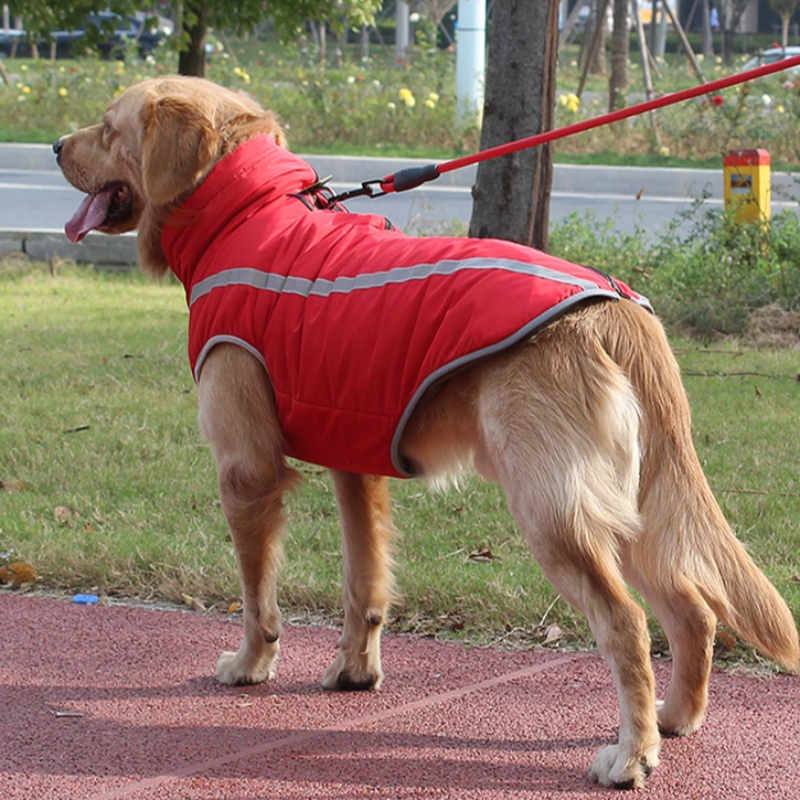 Amazon أعلى البائع شخصية الكلب تسخير الكلب الملابس العاكسة التنفس للكلاب المتوسطة والكبيرة