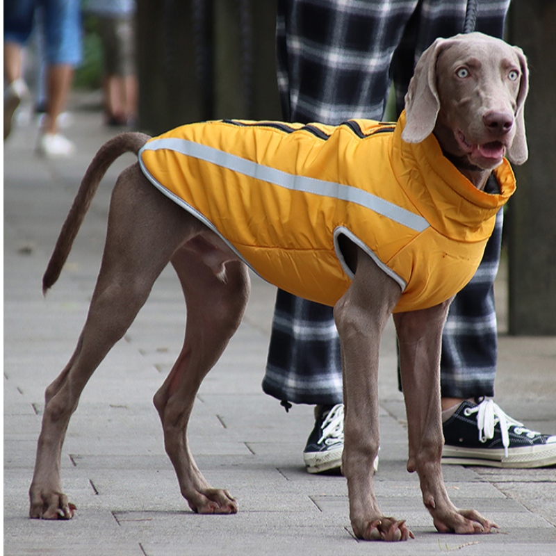 منخفضة موك تكلفة نسخة كلاسيكية بأسعار معقولة الكلب المطر سترة الكلب الملابس