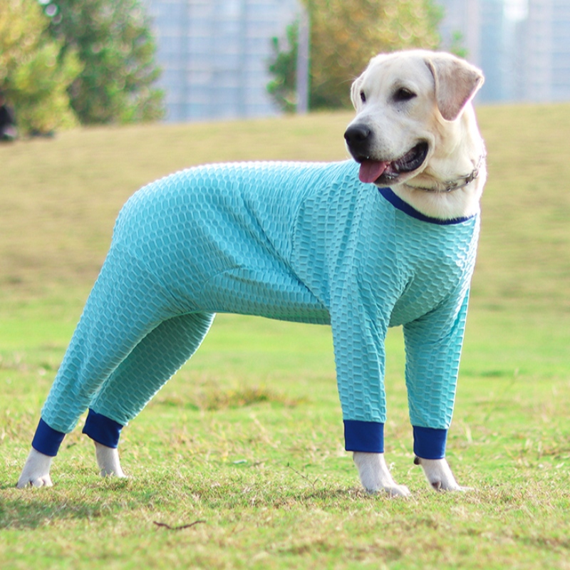 تصميم جديد مخصص الشتاء كلب الملابس الجديدة ملابس الحيوانات الأليفة مرونة سترة حار بيع الحيوانات الأليفة سترة