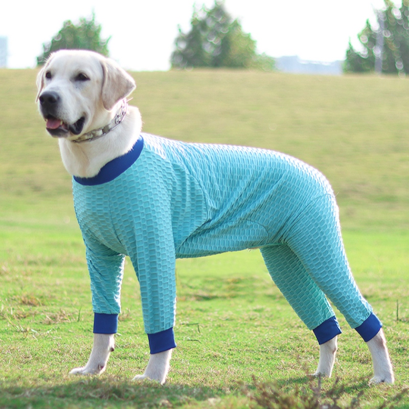 تصميم جديد مخصص الشتاء كلب الملابس الجديدة ملابس الحيوانات الأليفة مرونة سترة حار بيع الحيوانات الأليفة سترة