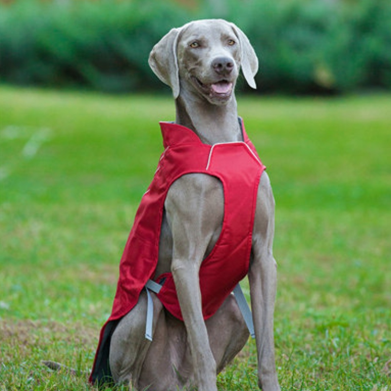 الكلاسيكية نمط معطف الكلب عاكس للماء قابل للتعديل الشتاء الكلب سترة عكسية خفيفة الوزن