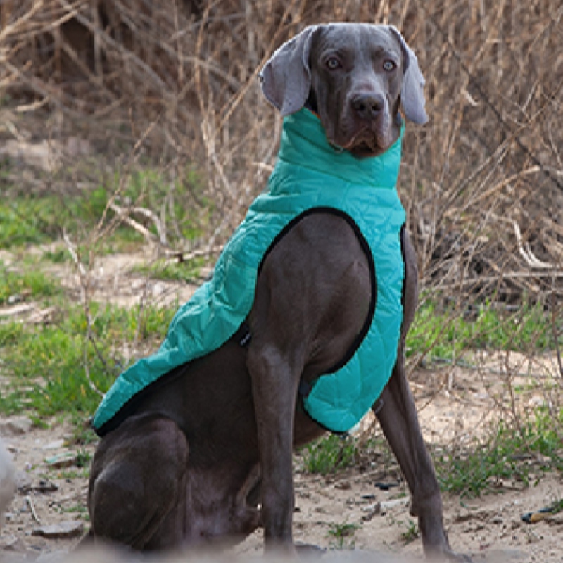 الأمازون الساخن بيع جديد الملابس كلب الملابس الخريف والشتاء سميكة سترة مرونة سترة الحيوانات الأليفة