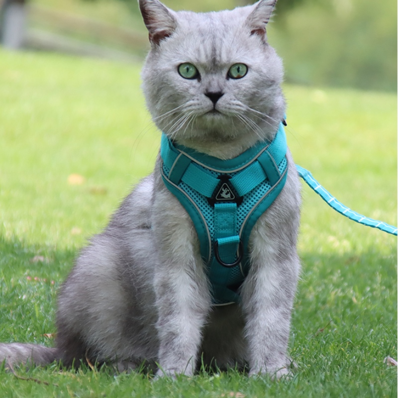 أزياء الحيوانات الأليفة سترة نوع الجر الصدر حزام القط الكلب قابل للتعديل قابل قابل للتعديل الجر حبل المشي الكلب حبل طوق